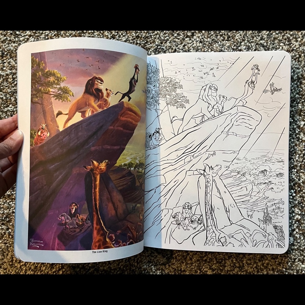 ✨ HP ✨ Disney Dreams Collection (Advanced/Adult) Coloring Book by... - Picture 4 of 12